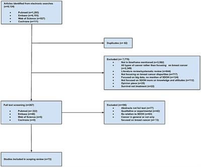 Social determinants of health and health inequities in breast cancer screening: a scoping review